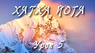 ХАТХА ЙОГА: Урок 5. Комплекс Для Всех | 7 Асан для Начинающих