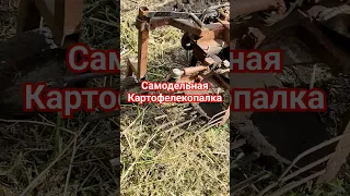 самодельная картофелекопалка "Утиный хвост"