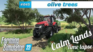 new Olive Trees for massive olive oil 🌲 Farming Simulator 22 🚜 Calm Lands - #045 - 4K time lapse