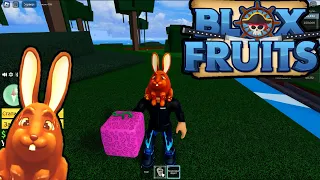 Всё сначала Блокс Фрутс Разбор игры Роблокс Blox Fruits #1 часть Roblox