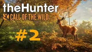 theHunter: Call of The Wild Funny Kill Compilation #2