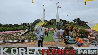 Beautiful Flower Park Of South Korea // Biggest Flower Garden // Flower Festivel of south korea