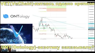 VeChain(VET) и ONT(Ontology)-братья китайцы,деды криптовалютного рынка-обзор проектов