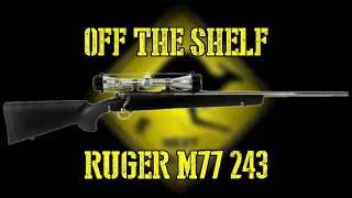 Ruger M77 243 - Off The Shelf
