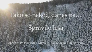 Tako so nekoč, danes pa... Spravilo lesa