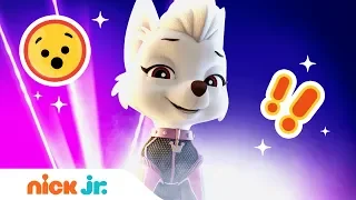 Top 5 Countdown 🐩Sweetie's Most Mischievous Moments | PAW Patrol | Nick Jr.