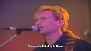 Mr  Mister - Broken Wings (Live) (Subtitulado)