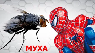 Человек паук и муха | Spiderman vs fly | Детские песни | Танцы для детей