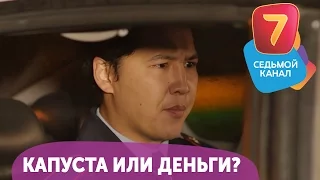 Капуста или деньги? Q-елі с понедельника по четверг в 19:00 на Седьмом канале!