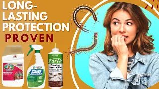Best Insecticide For Millipedes -Fastest Way to Get Rid Of Millipedes