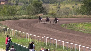 Дерби, 3-й гит. 11 августа 2019 г. Воронежский ипподром