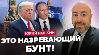 РАШКІН: Режим Путіна ТРІЩИТЬ. НАТО налякало Кремль. Що ТРАМП задумав із Путіним?