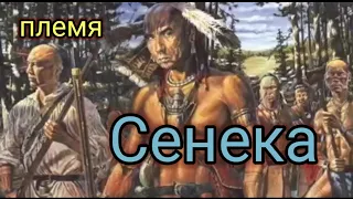 Племя Индейцев Великих Озёр