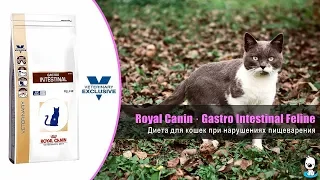 Ветеринарная диета для кошек при нарушениях пищеварения · Royal Canin Gastro Intestinal Feline