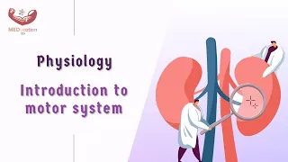 Physiology- Introduction to motor system