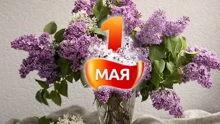 Веселое Поздравление с 1 Мая. С Праздником Вас, Друзья!