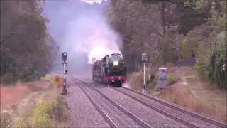 NSW steam locomotives