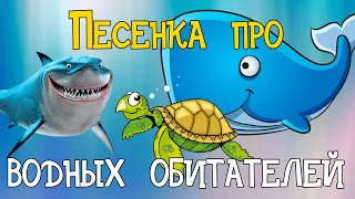 Песенка про подводный мир! Кит, Акула, Крокодил, Черепаха, Краб!