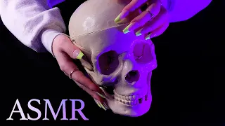 ASMR Tapping and Scratching Your Skull 💀