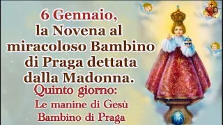6 Gennaio, la Novena al miracoloso Bambino di Praga dettata dalla Madonna. Quinto giorno.