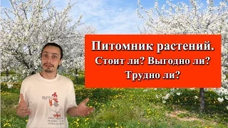 Питомник плодовых растений как бизнес. Как и что выращивать, можно ли заработать на питомнике?