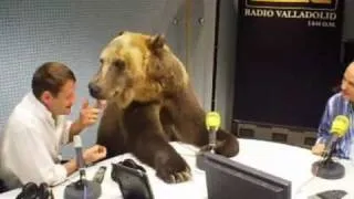 ANIMAL TV. Цирк. Медведь.