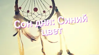 Сон дня: К чему снится Синий цвет?