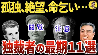 【睡眠用】面白過ぎて眠れない！独裁者の末路！総集編！！【世界史】