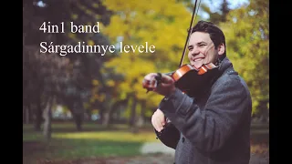 4in1 band - Sárgadinnye levele, kiszáradt a gyökere