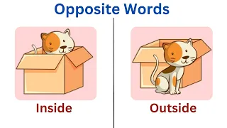 Opposite words in English | opposite words for kids | Antonym for kids | English Vocabulary