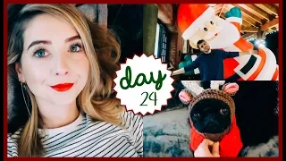 THE BIG DAY IS FINALLY HERE! | VLOGMAS