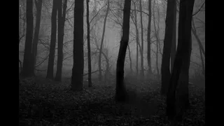 LOST IN THE WITCH'S FOREST -  A DARK AMBIENT MUSIC MIX - 1 hour of dark ambient background music