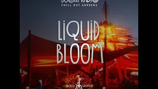 Liquid Bloom   Live at the Chill Out Gardens   Boom Festival 2018