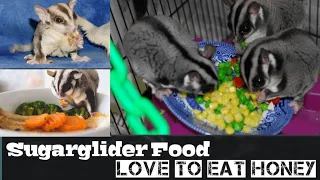 Sugarglider Diet || Sugarglider daily diet || Babysugar glider (Joey) || In Hindi or Urdu