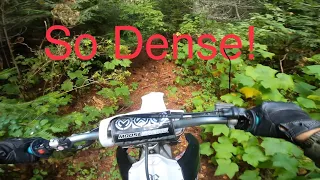 Woods Trail Riding on 2016 Yamaha YZ450F & 2006 Yamaha YZ450F