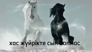 Хас жүйрікте сын болмас-Remix