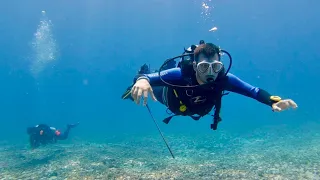 Drift Diving 'Shotgun' - dive sites like this are rare