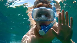 Manta. Komodo National Park, March 2017