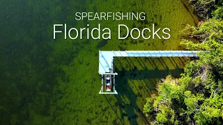 SPEARFISHING docks in Florida