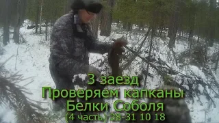 3 заезд Проверяем капканы Белки Соболя (4 часть) 28 31 11 18