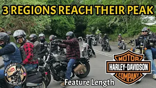 THE BEST HARLEY DAVIDSON GROUP RIDE EVER..#harleydavidson #sportster #motorcycle #sportster48