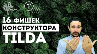 Фишки tilda |  16 крутых фишек конструктор сайта Тильда