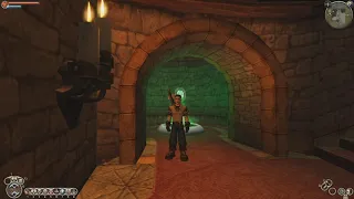 Fable TLC/Anniversary: Infinite experience glitch (menu manipulation)