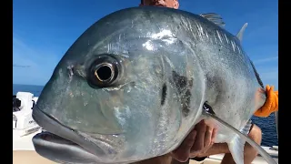 Crazy GT fishing Great Barrier Reef