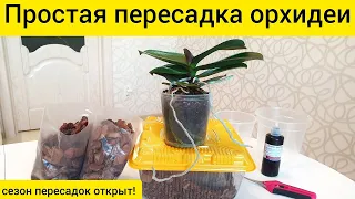 Пересадка орхидеи в кору || Простая быстрая пересадка орхидеи