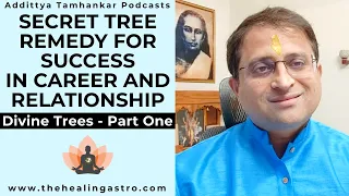 Secret Tree Remedy For Success in Career & Relationship - Divine Trees: Part 1 #tree #remedies