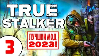 S.T.A.L.K.E.R. TRUE STALKER 🔥 ЛУЧШИЙ МОД 2023 (!) 🔥 3 серия