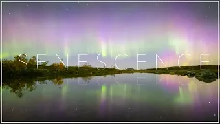 SENESCENCE - The Arctic Fall in Norway 4K timelapse