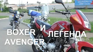 Спойлер видео о динамике Yamaha YBR 125, Bajaj Boxer 150 и Avenger 220