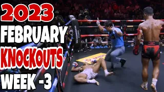 MMA & Boxing Knockouts I February 2022 Week 3